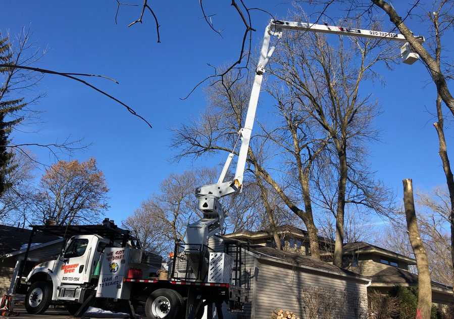 Tree removal - 75' lift